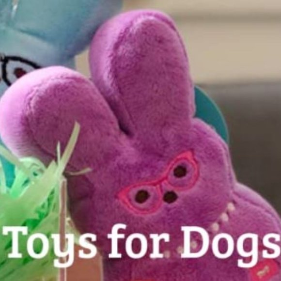 NWT 2022 Yellow 6" Medium Peeps for Pets Plush Bunny Toys for Dogs, Cats or Kids - Picture 6 of 7